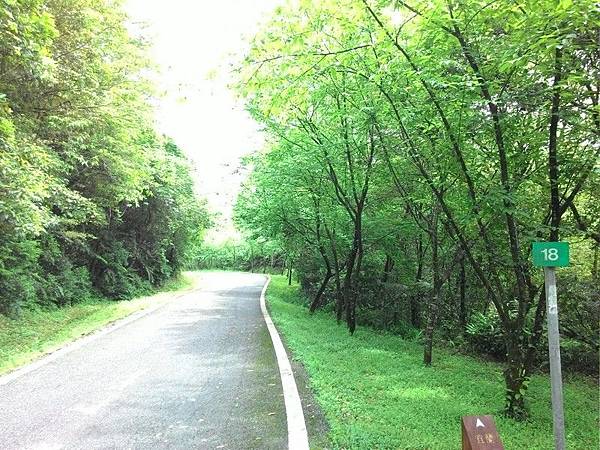 雙泰產業道路 42.jpg