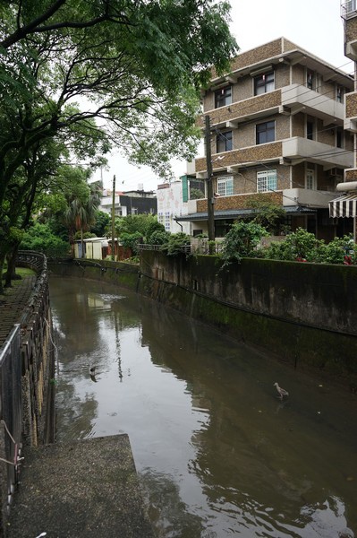 金山中山溫泉公園 13.jpg