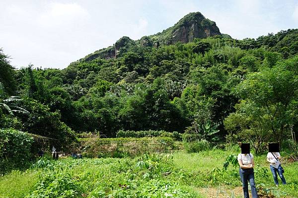 瑪陵國小 15