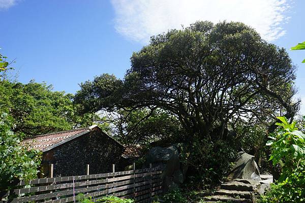 麟山鼻步道 78.jpg