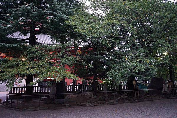 淺草神社 03.jpg