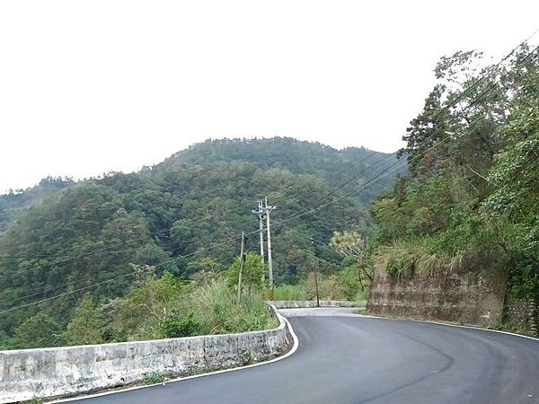 紫來產業道路 28.jpg