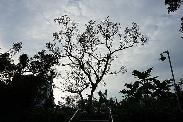 羅東神社遺址 14.jpg