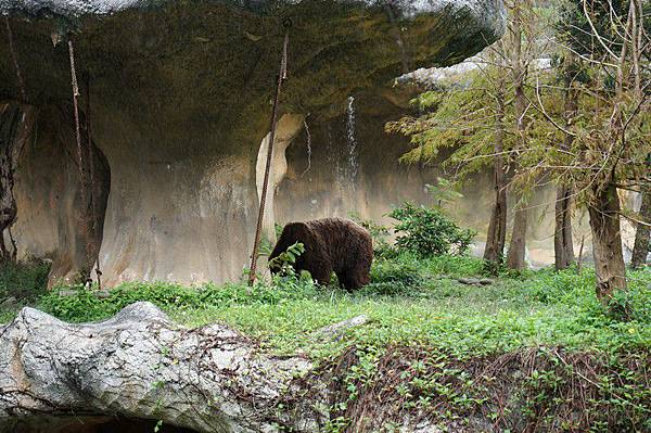 臺北市立動物園 62.jpg