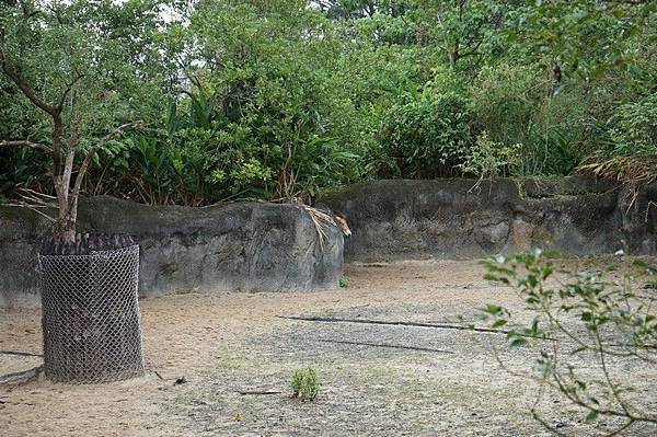 臺北市立動物園 69.jpg