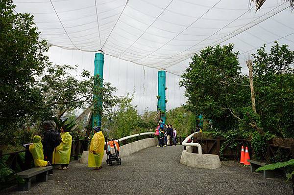 臺北市立動物園 81.jpg