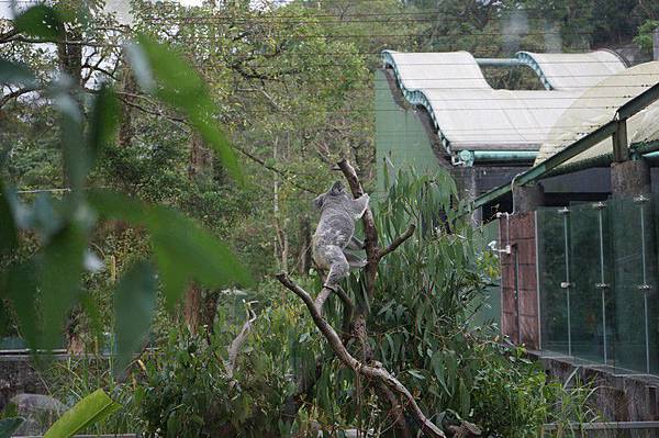 臺北市立動物園 128.jpg