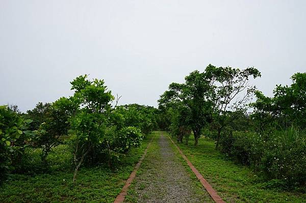 頂寮生態公園 20.jpg