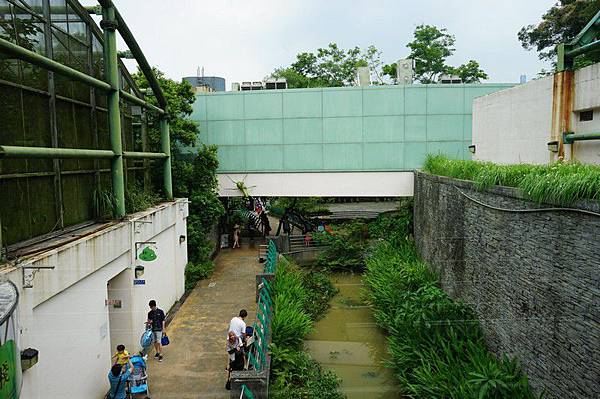 臺北市立動物園 183.jpg