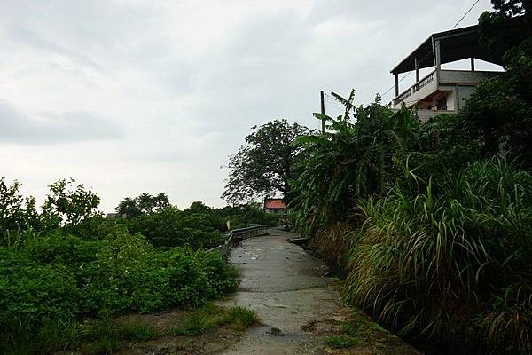 八連下圳田間步道 22.jpg