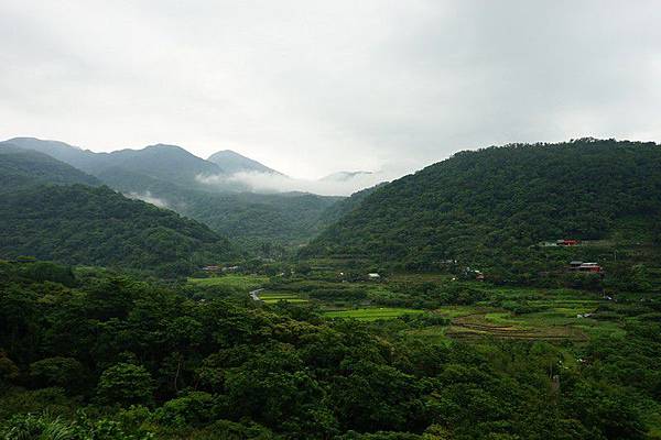 植窯麵包 13.jpg