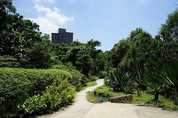 台北植物園 26.jpg