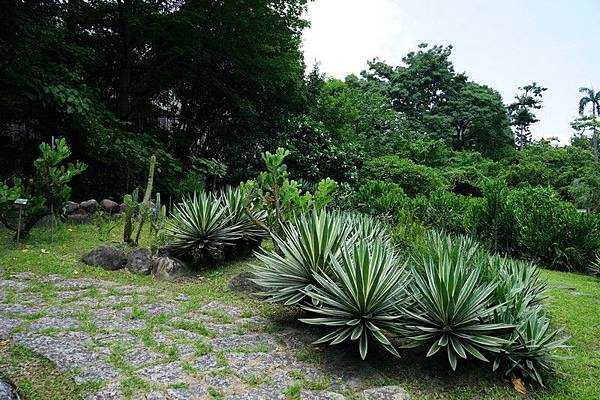 台北植物園 30.jpg