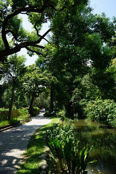 台北植物園 46.jpg