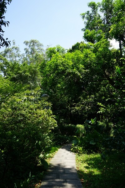 台北植物園 54.jpg
