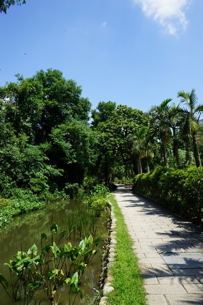 台北植物園 56.jpg