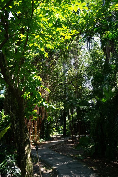 台北植物園 62.jpg