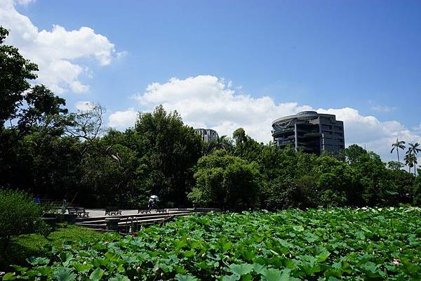 台北植物園 72.jpg