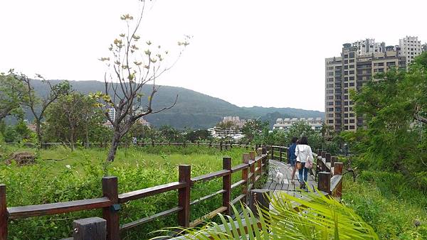 中都濕地公園 13.jpg