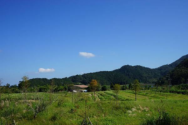 雙連埤產業道路 04.jpg