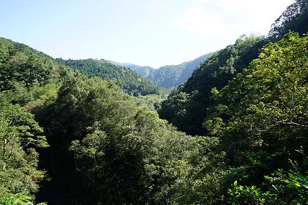 雙連埤產業道路 27.jpg