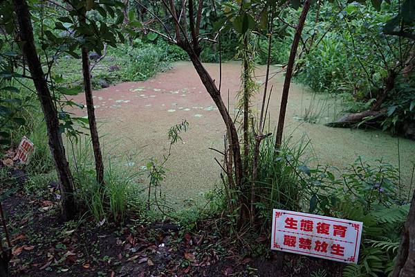 外雙溪公園 06.jpg