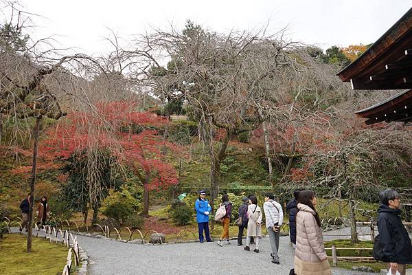 211 天龍寺 38.jpg