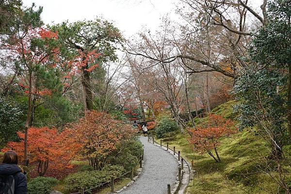 211 天龍寺 58.jpg