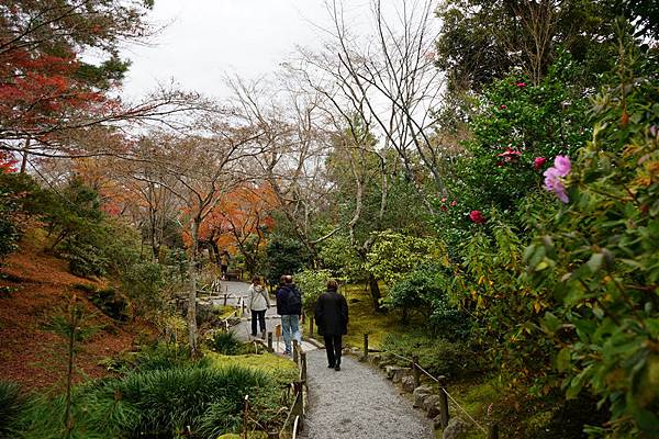 211 天龍寺 59.jpg