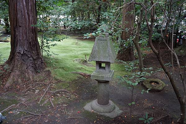 213 野宮神社 08.jpg