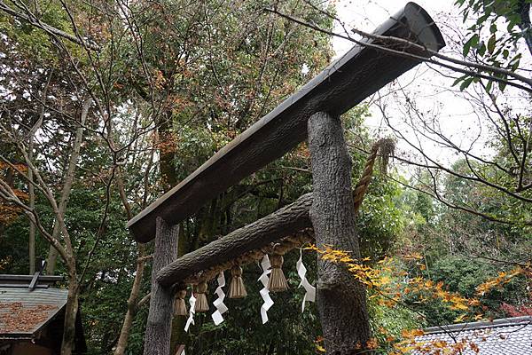 213 野宮神社 21.jpg