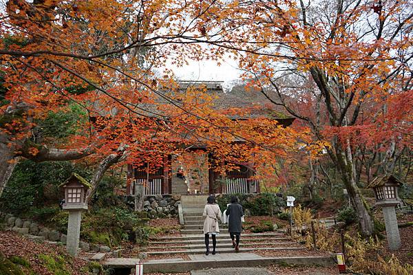 215 常寂光寺 05.jpg