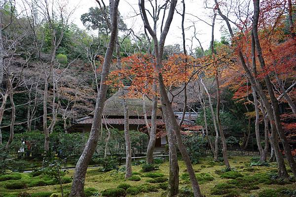 218 祇王寺 14.jpg