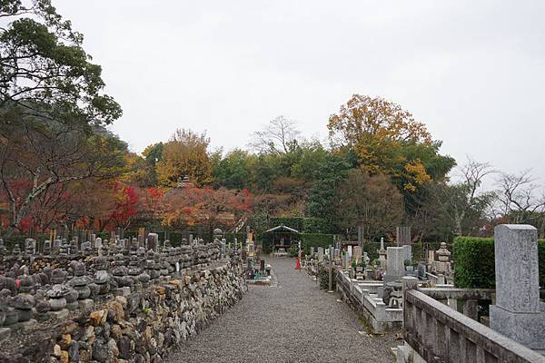 219 化野念佛寺 20.jpg