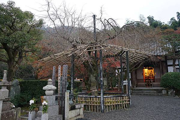 219 化野念佛寺 21.jpg