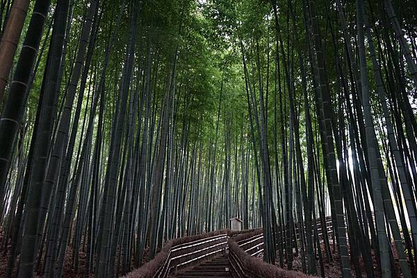 219 化野念佛寺 24.jpg