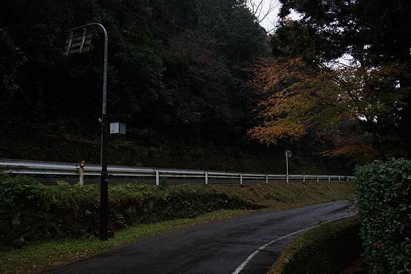 220 愛宕念佛寺 04.jpg