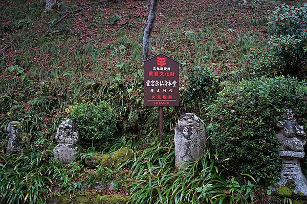 220 愛宕念佛寺 05.jpg