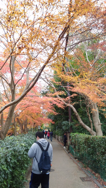 20X2 御髮神社--常寂光寺 02.jpg