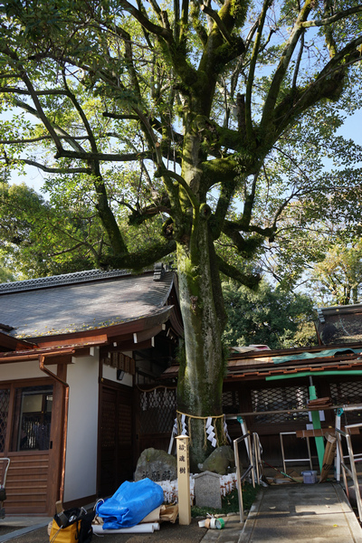 302 護王神社 26.jpg