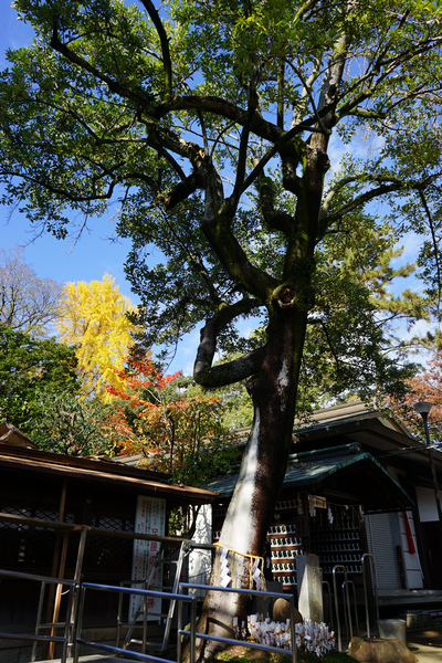 302 護王神社 28.jpg