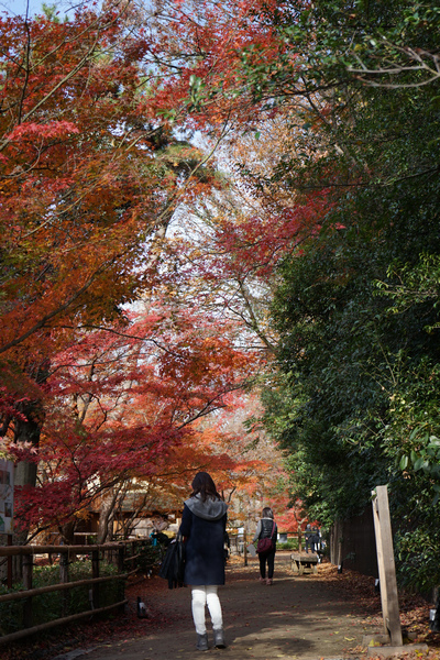 304 御土居 10.jpg