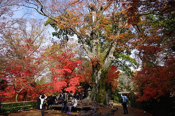 304 御土居 21.jpg