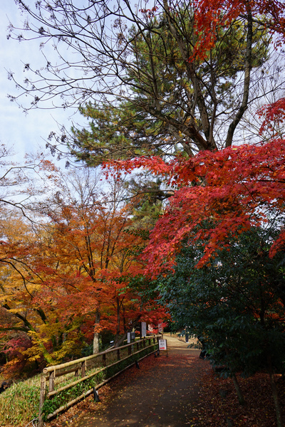 304 御土居 60.jpg