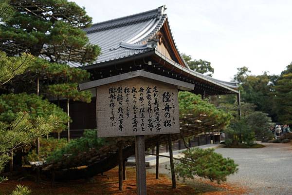 305 金閣寺 31.jpg