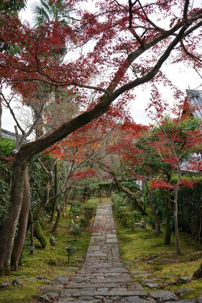 306 龍安寺 86.jpg