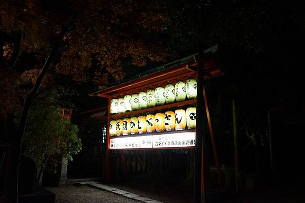 308 八坂神社夜景 09.jpg