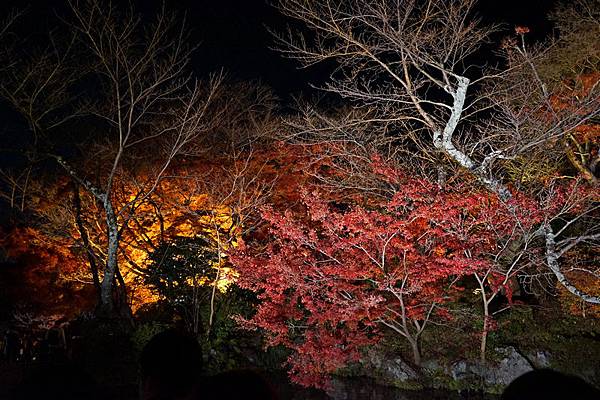 106 清水寺夜景 52.jpg