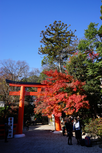 403 下鴨神社 39.jpg