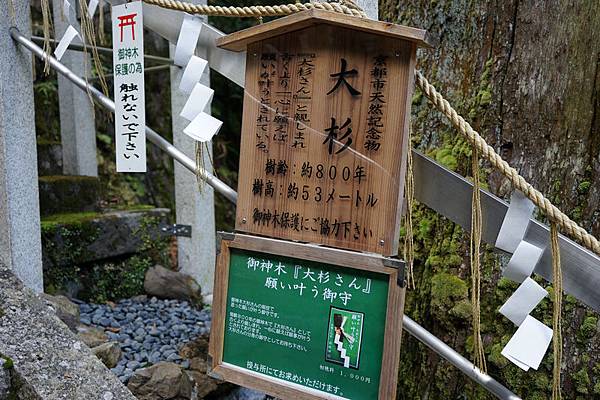 407A 由岐神社 17.jpg